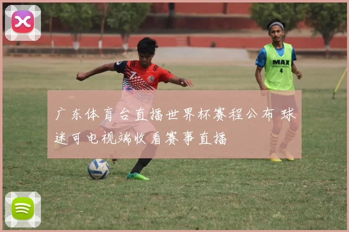 广东体育台直播世界杯赛程公布 球迷可电视端收看赛事直播