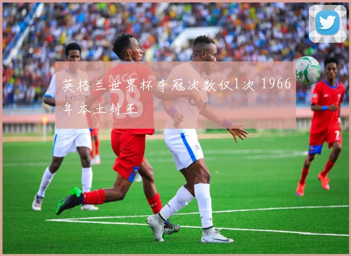 英格兰世界杯夺冠次数仅1次 1966年本土封王