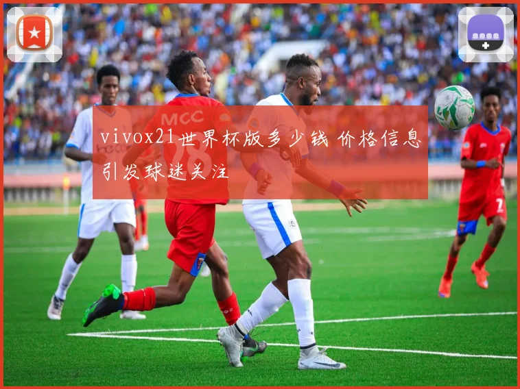 vivox21世界杯版多少钱 价格信息引发球迷关注