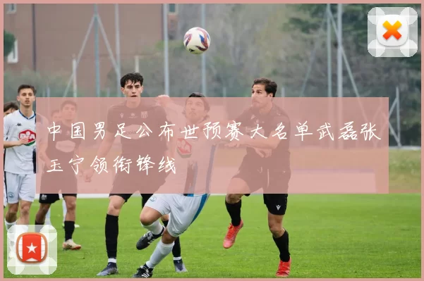中国男足公布世预赛大名单武磊张玉宁领衔锋线