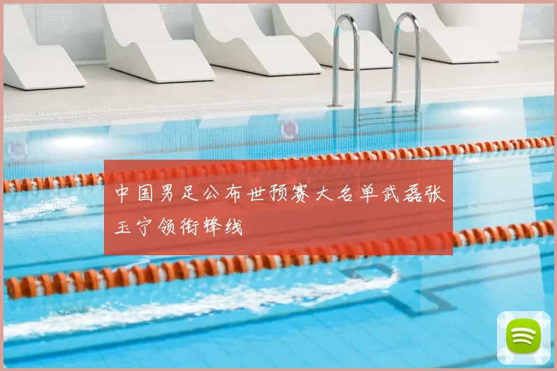 中国男足公布世预赛大名单武磊张玉宁领衔锋线